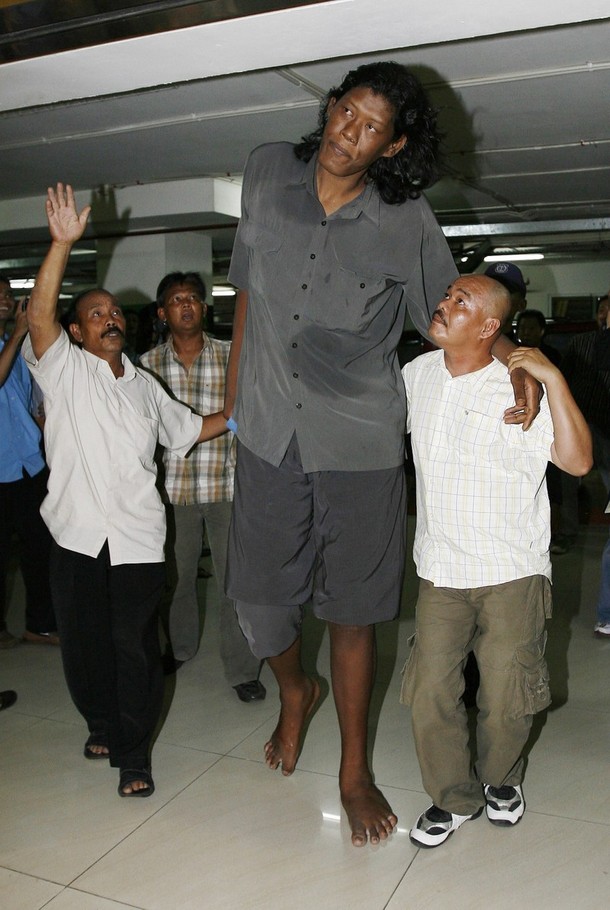 самый высокий человек супарвоно 2,42 м